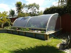 a large greenhouse in the middle of a yard