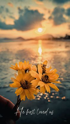 two yellow flowers are in front of the ocean at sunset, with text that reads after first loved us