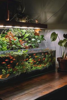 a fish tank filled with plants on top of a wooden table