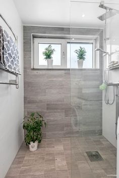 a bathroom with a shower, toilet and plant in the corner on the floor next to the window