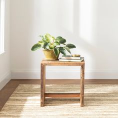 a potted plant sitting on top of a wooden table in front of a window