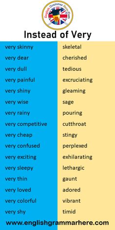 two different words that are in the same language, one is english and the other is spanish