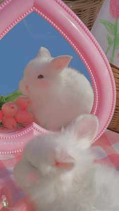 a white rabbit sitting in front of a mirror next to a pink plate with flowers on it