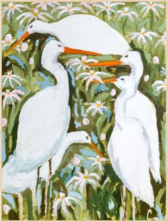 two white birds standing next to each other