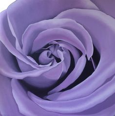 a painting of a purple rose with white stamens and dark center, in full bloom