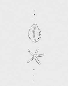 an image of two seashells and starfish on white paper with black dots