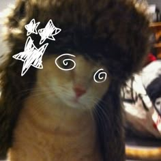 a cat wearing a furry hat on top of it's head