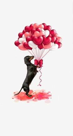 a dog is holding balloons in its mouth and it looks like he's getting ready to fly