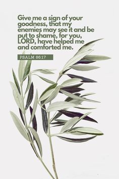 an olive branch with the bible verse