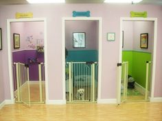 a room with three gates and a dog in it