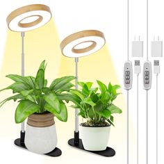 two potted plants are sitting next to each other in front of some wires and plugs