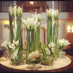 several vases filled with white flowers on top of a table