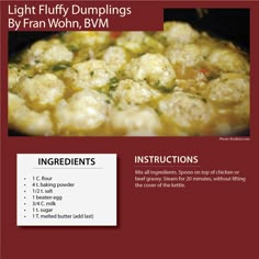 brochure showing instructions for how to make light fluffy dumplings by fran wohn, bvm