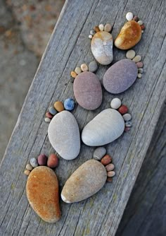 some rocks are arranged in the shape of a dog's paw on top of a wooden