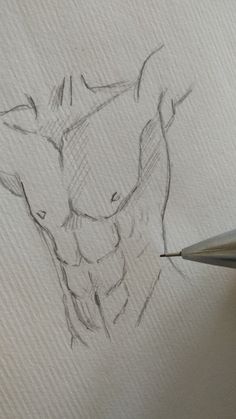 a pencil drawing of a man's torso