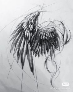 a pencil drawing of an angel wing