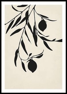 an abstract black and white painting with olives hanging from a tree branch in the foreground