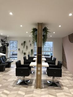 a room with chairs, tables and plants on the wall in it's center