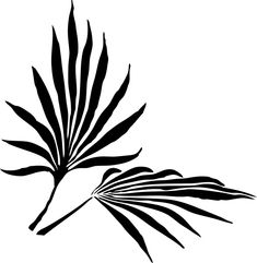 a black and white drawing of a palm leaf