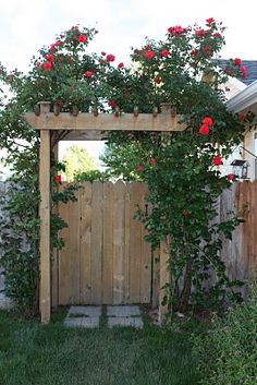 a wooden arbor with roses growing over it