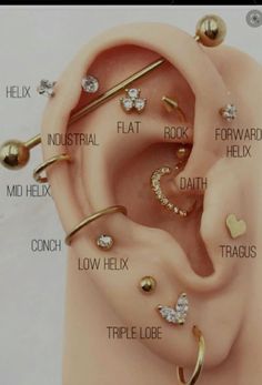 an ear with different types of piercings on it