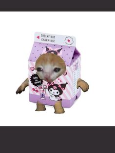 a small hamster in a pink box with its head sticking out from it's side