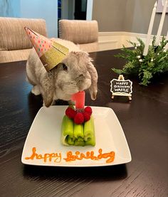 a rabbit wearing a birthday hat on top of a plate with celery and strawberries