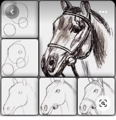 four different pictures of horses and their heads