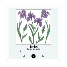 an iris flower with the words iris on it's left side, and two purple flowers