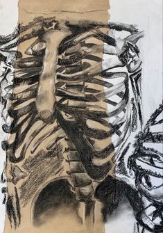 an image of a drawing of a skeleton in the middle of it's ribs