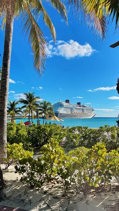 a cruise ship is docked in the distance behind some palm trees and bushes on the beach