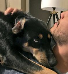 a man laying on top of a bed next to a black and brown dog in his lap