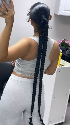 Slick Ponytail With Two Braids, Slick 2 Braids, Slick Back Two Braided Ponytail, Braided Ponytail 2 Braids, Braided Ponytail Two Braids, One Ponytail Two Braids, 2 Braids One Ponytail, Two Braids One Ponytail, Braided Ponytail With Two Braids