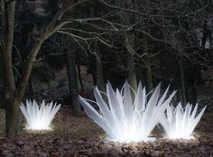 three white lights in the middle of leaves on the ground and trees behind them, all lit up at night