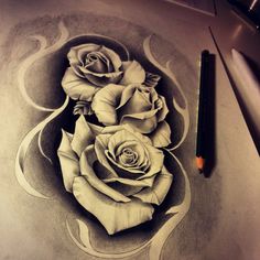 a pencil drawing of three roses on paper