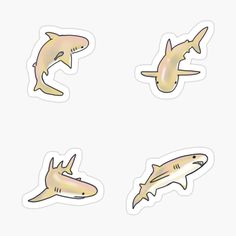 four different types of sharks stickers