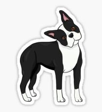 a black and white boston terrier dog sticker