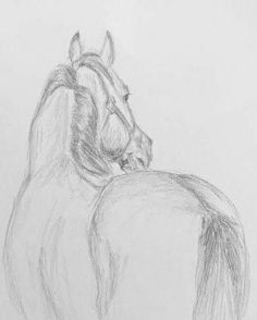 Graphite Sketches, Horse Drawing Tutorial, Horse Pencil Drawing, Horses Artwork, Nicole Smith, Animal Drawings Sketches, Horse Artwork