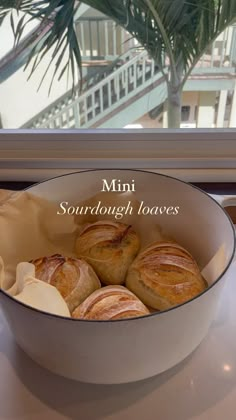 mini sourdough loaves in a white bowl on a counter next to a window