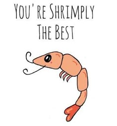 a shrimp with the words you're shrimply the best