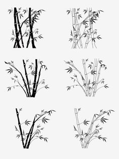 four black and white images of bamboo trees