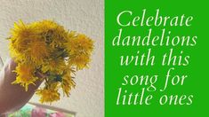 a person holding a bunch of flowers with the words celebrate dandelions with this song for little ones