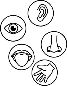 four different types of buttons with the eye, hand and ear symbols in black and white