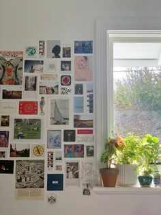 there is a window that has many pictures on the wall behind it, and a potted plant next to it