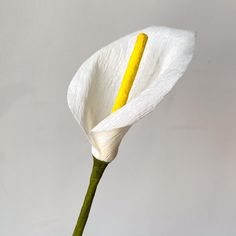 a single white flower with yellow stamen