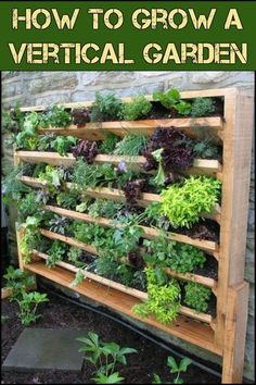 an outdoor garden with various plants growing on it