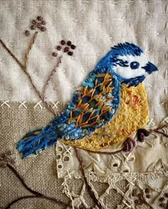 a blue bird sitting on top of a piece of cloth