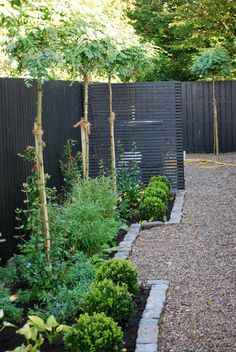 an outdoor garden with gravel and trees