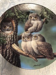 PEEK-A-WHOO SCREECH OWLS Plate Painted by By Joe Thornbrugh Made for KNOWLES fine bone china Plate #14411C Excellent Preowned condition on plate Usable condition for plate holder it’s been with this plate for years The 4 stained glass owls are in very nice condition and need more cleaning Condition is "Used" and all in at least very good condition Final sale Questions?! Please ask Owl Plate, Screech Owl, China Plates, Plate Holder, Fine Bone China, Bone China, Owls, Final Sale, Stained Glass