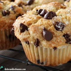 chocolate chip muffins cooling on a wire rack